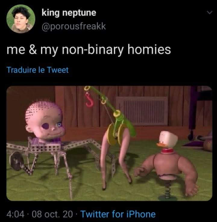 The meme is a screenshot of a character from the animated movie "Toy Story" with their limbs and face twisted into a grotesque, cartoonish expression. The character is captioned "me and my non-binary homies" which is a humorous and ironic take on the idea of having a close-knit group of friends who identify as non-binary. The image is likely meant to be humorous and playful, rather than serious or educational.